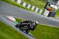 cadwell-no-limits-trackday;cadwell-park;cadwell-park-photographs;cadwell-trackday-photographs;enduro-digital-images;event-digital-images;eventdigitalimages;no-limits-trackdays;peter-wileman-photography;racing-digital-images;trackday-digital-images;trackday-photos